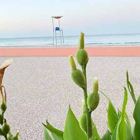 Paraiso Frente Al Mar Con Hidromasaje Piscina Y Minigolf شقة